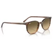 Kép 4/5 - RAY BAN RB2197 ELLIOT 13920A - Csíkos barna és zöld NAPSZEMÜVEG