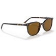 Kép 4/5 - RAY BAN RB2197 ELLIOT 902/33 - Havana NAPSZEMÜVEG
