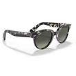 Kép 4/5 - RAY-BAN RB2199 ORION 133371 NAPSZEMÜVEG