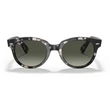 Kép 5/5 - RAY-BAN RB2199 ORION 133371 NAPSZEMÜVEG