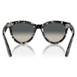Kép 3/5 - RAY BAN RB2241 WAYFARER WAY 133371 - Szürke havanna NAPSZEMÜVEG