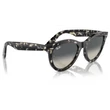 Kép 4/5 - RAY BAN RB2241 WAYFARER WAY 133371 - Szürke havanna NAPSZEMÜVEG