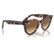 Kép 4/5 - RAY BAN RB2241 WAYFARER WAY 133451 - Rózsaszín havanna NAPSZEMÜVEG
