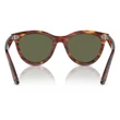 Kép 3/5 - RAY BAN RB2241 WAYFARER WAY 954/58 - Striped havana NAPSZEMÜVEG
