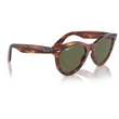 Kép 4/5 - RAY BAN RB2241 WAYFARER WAY 954/58 - Striped havana NAPSZEMÜVEG