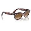 Kép 4/5 - RAY BAN RB2242 WAYFARER OVAL 133451 - Rózsaszín havanna NAPSZEMÜVEG