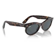 Kép 4/5 - RAY BAN RB2242 WAYFARER OVAL 902/R5 - Havana NAPSZEMÜVEG
