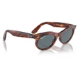 Kép 4/5 - RAY BAN RB2242 WAYFARER OVAL 954/3R - Striped havana NAPSZEMÜVEG