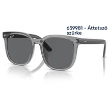 RAY BAN  RB4401D 659981 - Áttetsző szürke NAPSZEMÜVEG