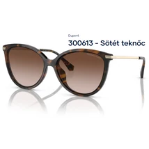 Michael Kors Dupont MK2184U 300613 - Sötét teknőc NAPSZEMÜVEG