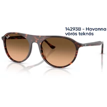 RAY-BAN RB2215 14293B - Havanna vörös teknős napszemüveg RAY-BAN RB2215 14293B - Havanna vörös teknős napszemüveg