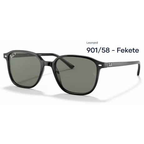 RAY-BAN RB2193 LEONARD 901/58 NAPSZEMÜVEG