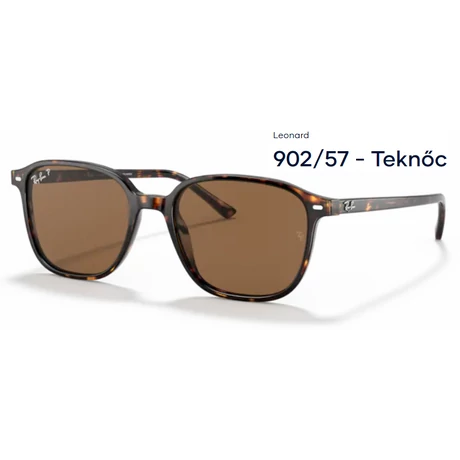 RAY-BAN RB2193 LEONARD 902/57 NAPSZEMÜVEG