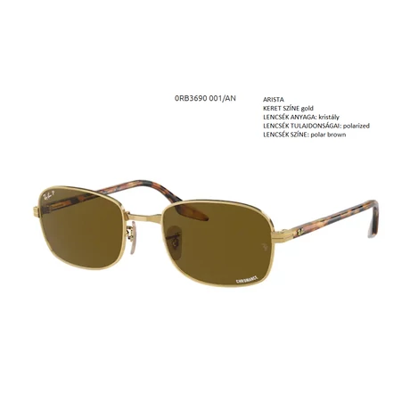 RAY BAN RB3690 001/AN NAPSZEMÜVEG
