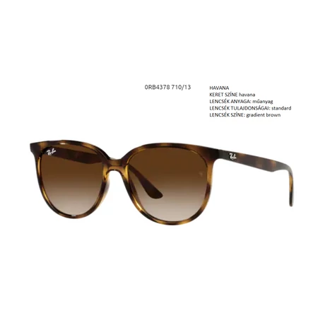 RAY BAN RB4378 710/13 NAPSZEMÜVEG