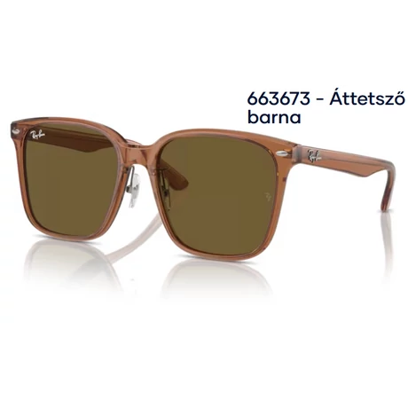 RAY BAN RB2206D 663673 - Áttetsző barna NAPSZEMÜVEG