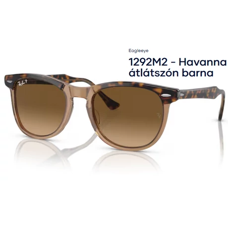 RAY-BAN RB2398 EAGLEEYE 1292M2 - Havanna átlátszón barna NAPSZEMÜVEG