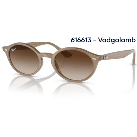 RAY BAN RB4315 616613 - Vadgalamb NAPSZEMÜVEG