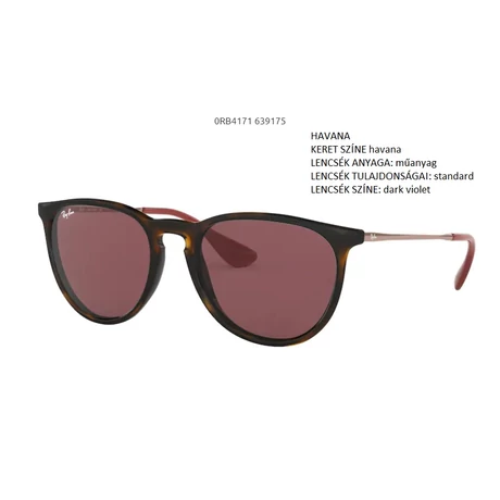 RAY-BAN RB4171 ERIKA 639175 NAPSZEMÜVEG