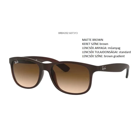 RAY-BAN RB4202 607313 ANDY NAPSZEMÜVEG