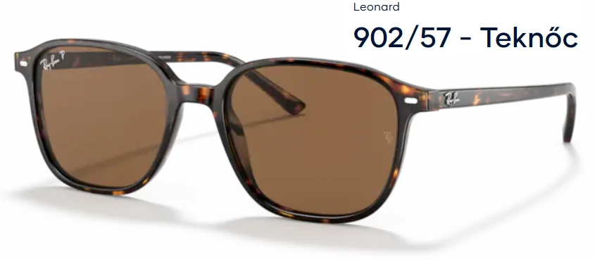 RAY-BAN RB2193 LEONARD 902/57 NAPSZEMÜVEG