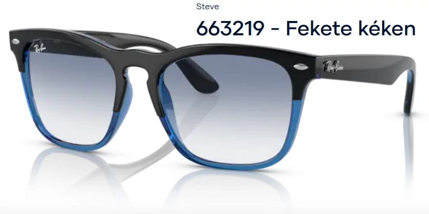 RAY-BAN RB4487 STEVE 663219 NAPSZEMÜVEG