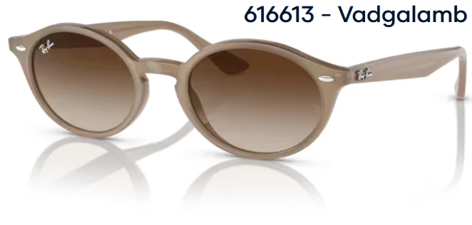 RAY BAN RB4315 616613 - Vadgalamb NAPSZEMÜVEG