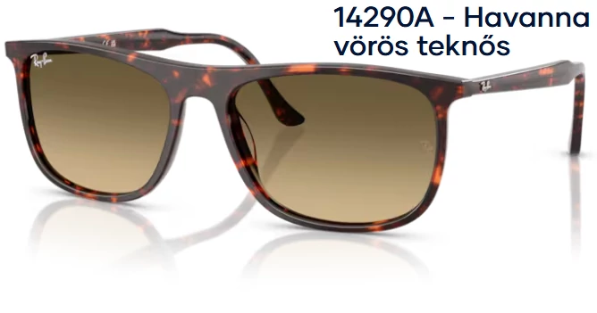 RAY-BAN RB2216 14290A - Havanna vörös teknős napszemüveg