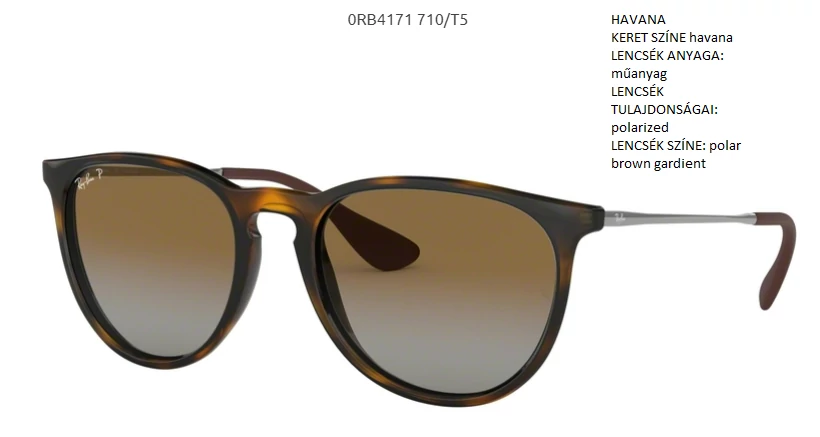 Ray-Ban RB4171 Erika 710/T5 Polarizált Napszemüveg