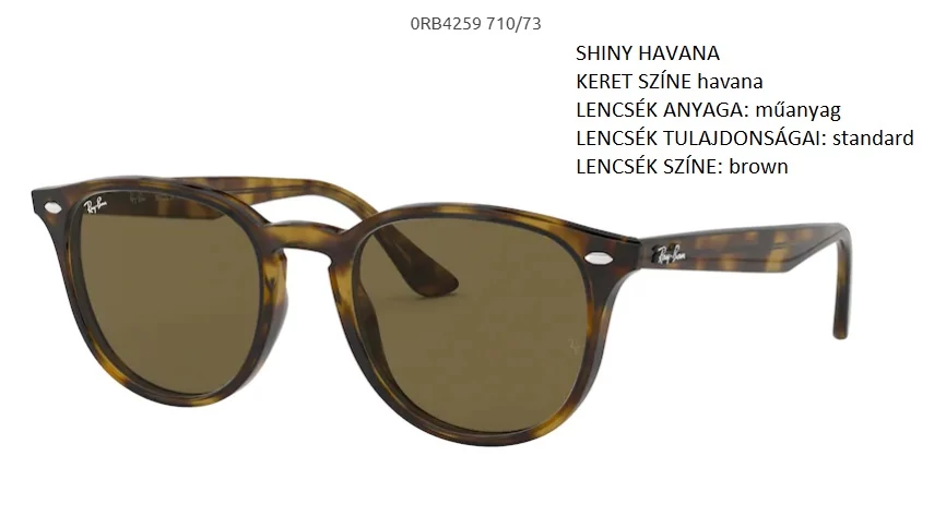 RAY-BAN RB4259 710/73 NAPSZEMÜVEG