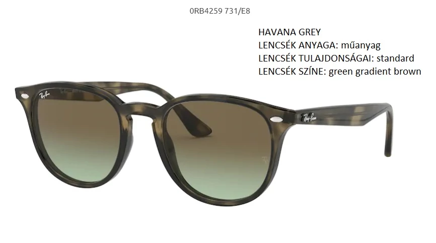 RAY-BAN RB4259 731/E8 NAPSZEMÜVEG